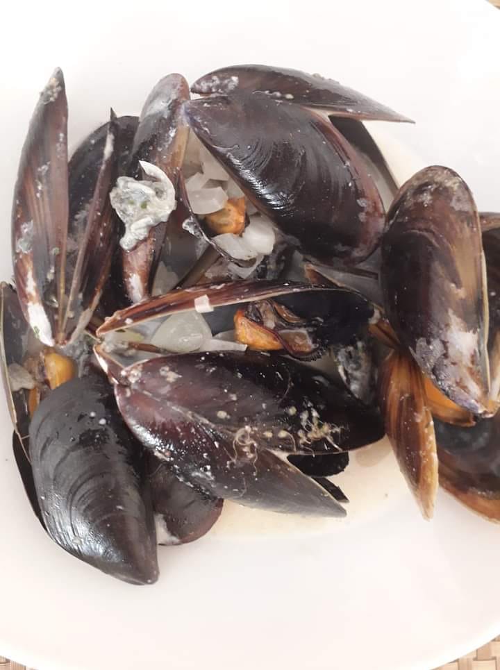 Zoom sur les moules